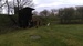IMAG0123.jpg