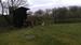 IMAG0124.jpg
