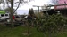 IMAG0126.jpg