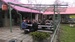 IMAG0134.jpg
