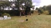IMAG0241.jpg