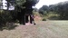 IMAG0259.jpg