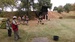 IMAG0349.jpg