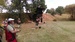 IMAG0356.jpg