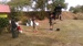 IMAG0420.jpg