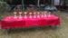IMAG0432.jpg