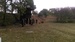 IMAG0439.jpg