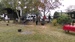IMAG0441.jpg