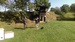 IMAG0742.jpg