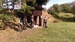 IMAG0761.jpg
