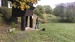IMAG0784.jpg
