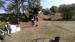 IMAG1270.jpg