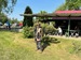 IMG_0126.jpeg
