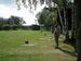PA170979.jpg