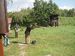PA170986.jpg