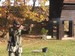 PA260088.jpg