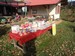 PA260091.jpg