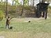 WhatsApp Image 2026-05-17 at 10.26.26 (9).jpeg