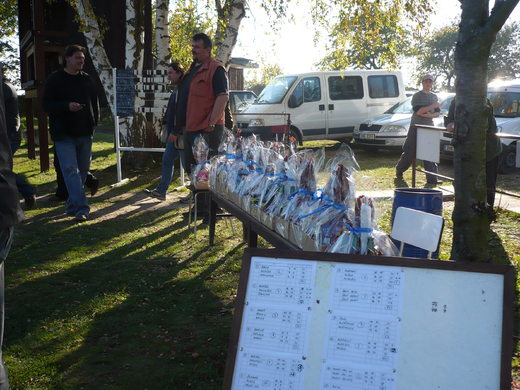 LP tříčlenných družstev 2010