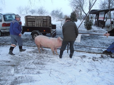 Zahájení sezóny - zabíjačka 2012