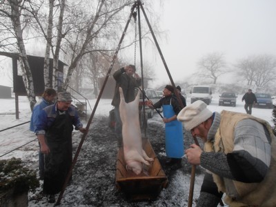Zahájení sezóny - zabíjačka 2012