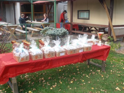 Závod tříčlenných družstev 2013
